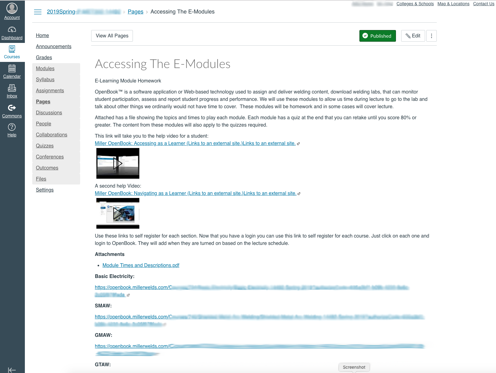 Canvas LMS Course example